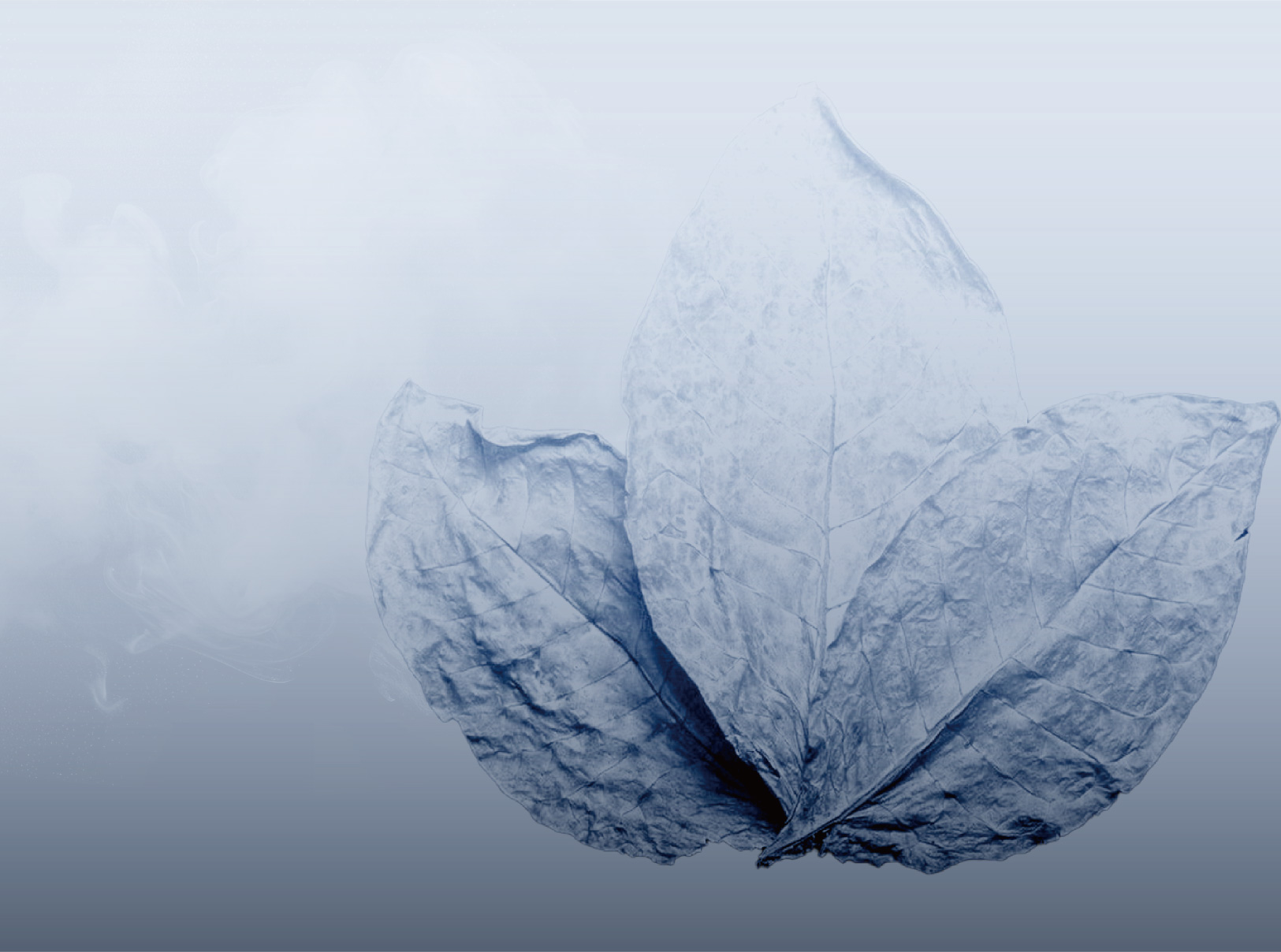 High Carbonization Rate