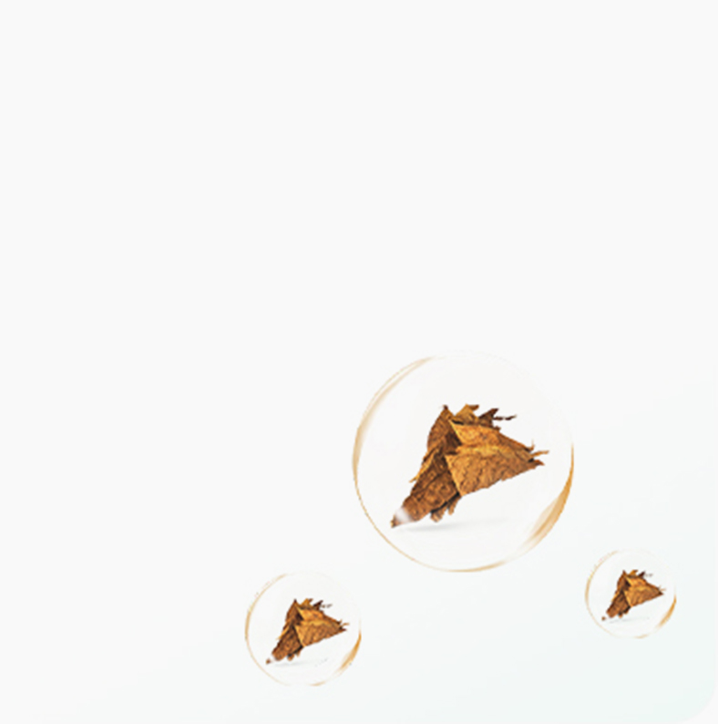 Rich &amp; Consistent Taste